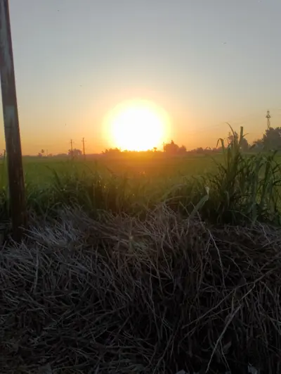 نورا